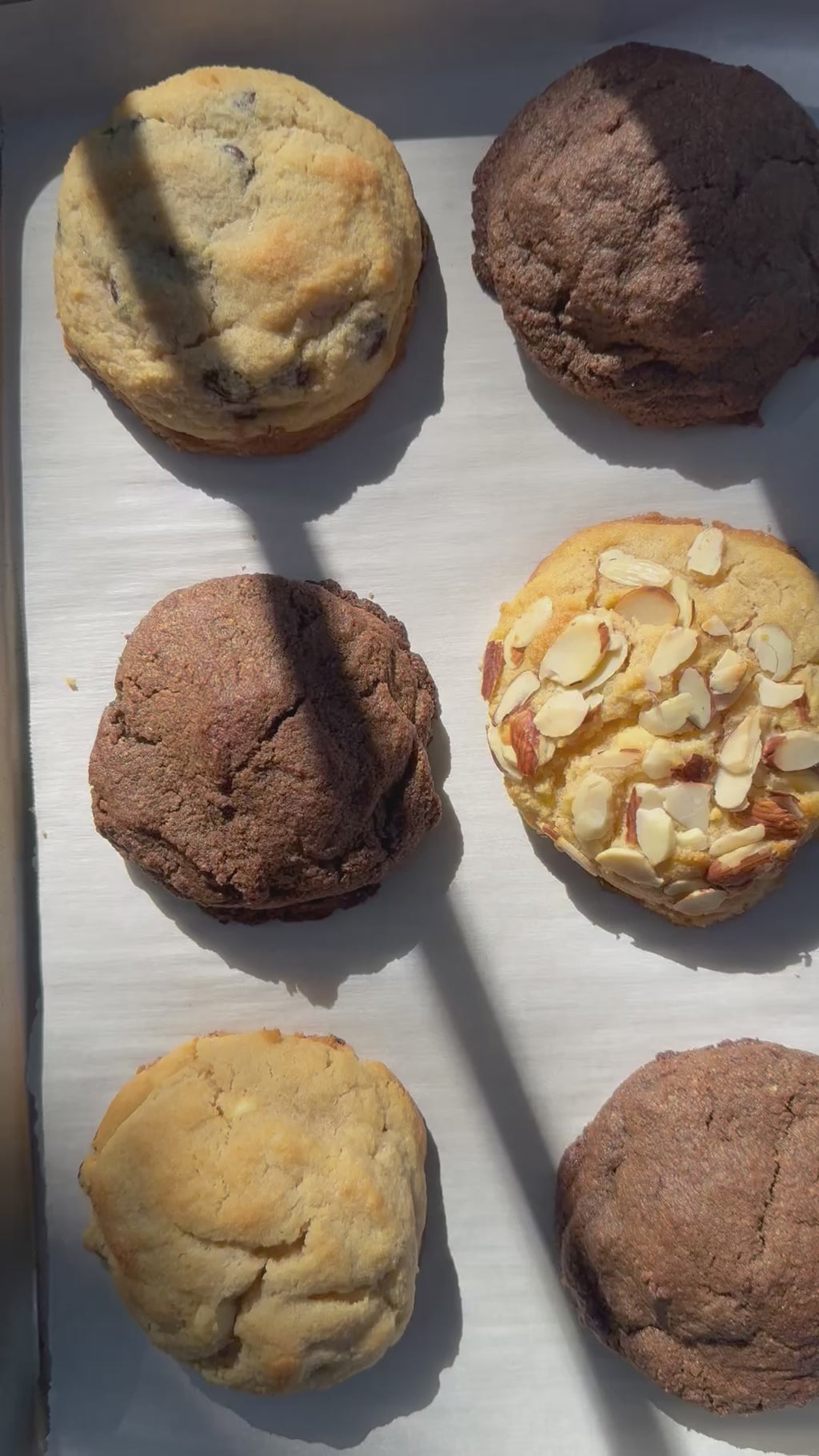 Signature Collection