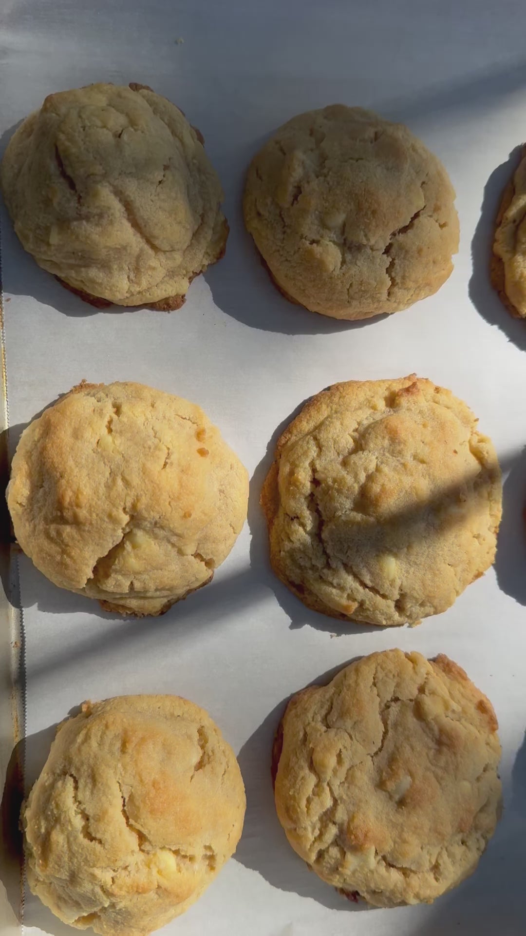 Macadamia White Chocolate